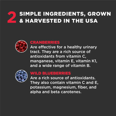 Super Snouts Urinary Berry