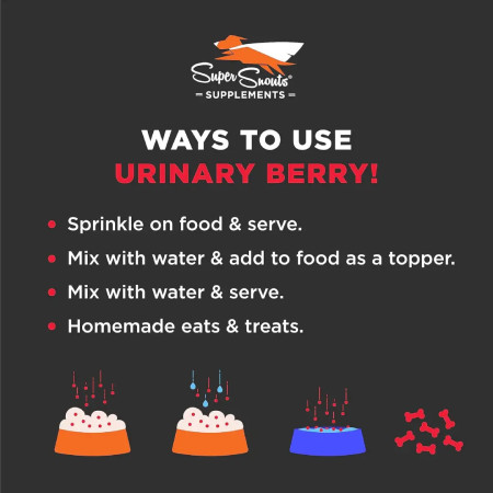 Super Snouts Urinary Berry