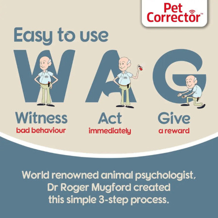 Pet corrector Spray para treino