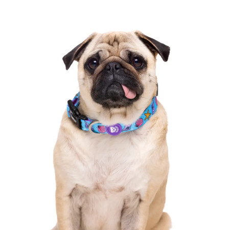 Dukier Coleira para cão Mermaid