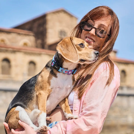 Dukier Coleira para cão Mermaid