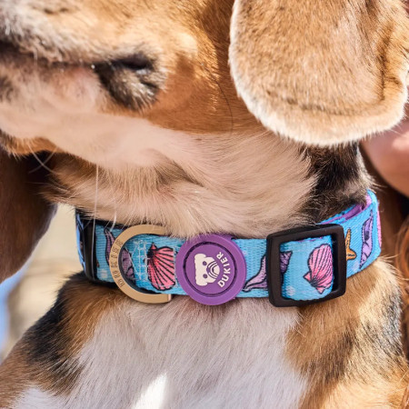 Dukier Coleira para cão Mermaid