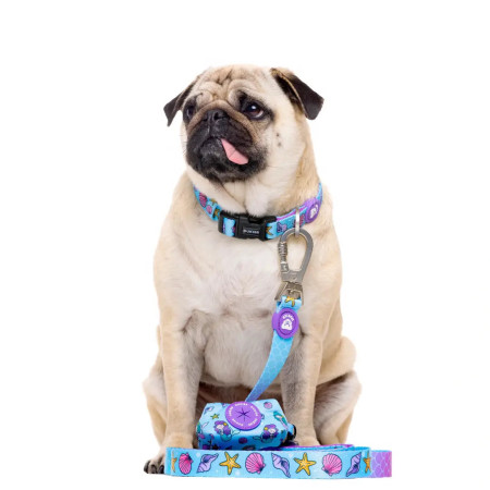 Dukier Dispensador de sacos e recompensas Mermaid