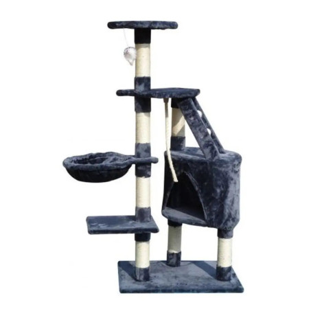 Arranhador Sinu cinzento