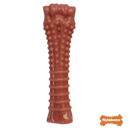 Nylabone Power Chew Basted Bone XL