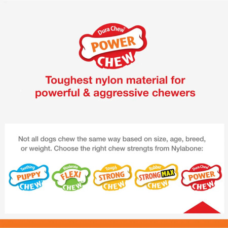 Nylabone Power Chew Basted Bone XL