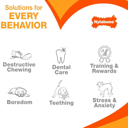 Nylabone Power Chew Basted Bone XL