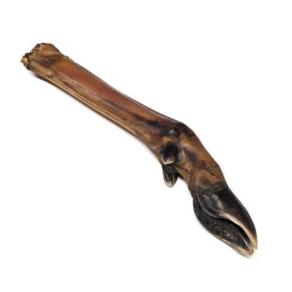 Loja do Cão Pata de veado