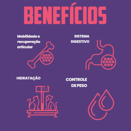 Weso Peito de frango em caldo de ossos