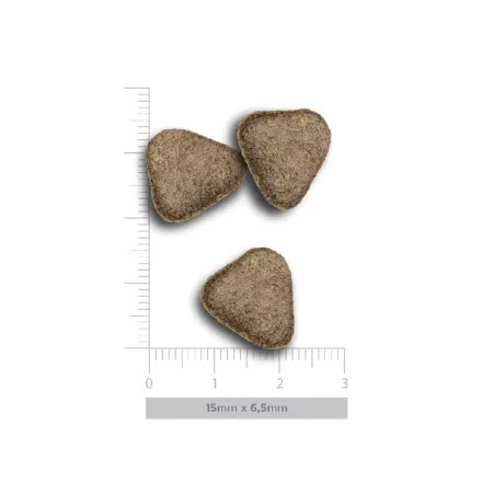 Amanova Adult Exigent Porco Ibérico