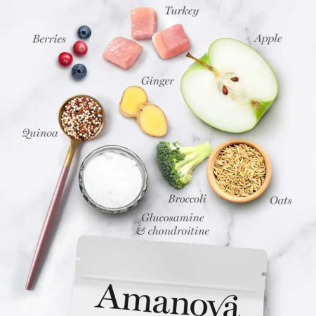 Amanova Adult Dog Obesity