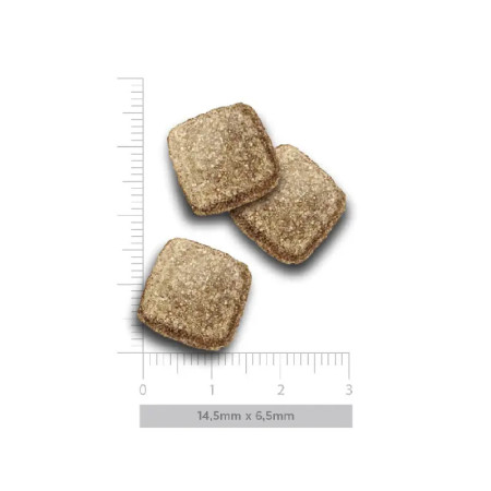 Amanova Adult Dog Obesity