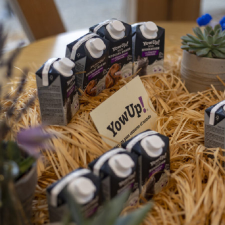 Yowup Cat Milk Hydration