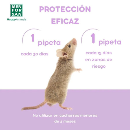 Men for san Pipetas anti-insectos para coelhos, roedores e furões