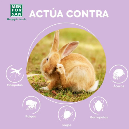 Men for san Pipetas anti-insectos para coelhos, roedores e furões