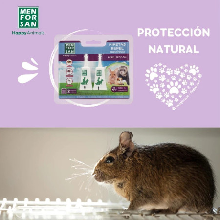 Men for san Pipetas anti-insectos para coelhos, roedores e furões