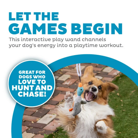 Outward Hound Tail Teaser - Cana para cão perseguir