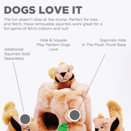 Outward Hound Hide-a-Squirrel