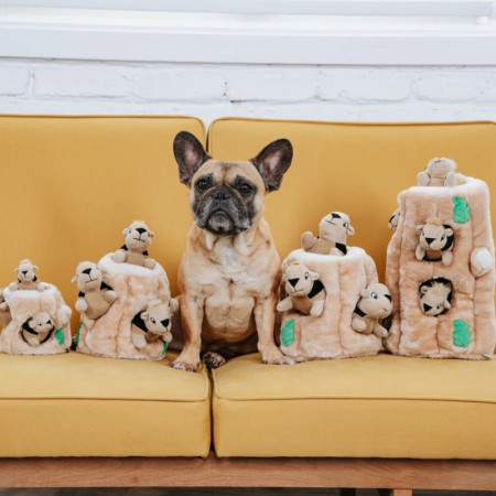 Outward Hound Hide-a-Squirrel