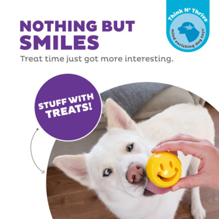 Planet Dog Orbee-Tuff Nooks Happiness