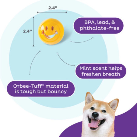 Planet Dog Orbee-Tuff Nooks Happiness