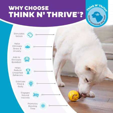 Planet Dog Orbee-Tuff Nooks Happiness