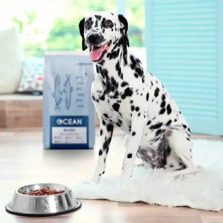 Ocean Artic com Peixe Nórdico e Krill