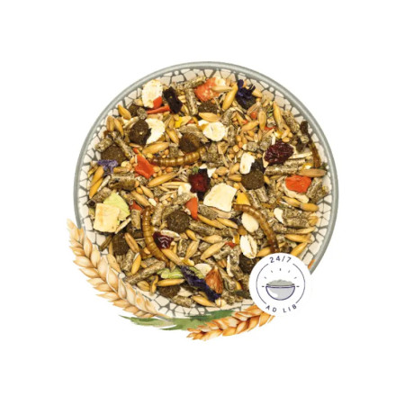 Bunny Alimento HamsterDream Basic