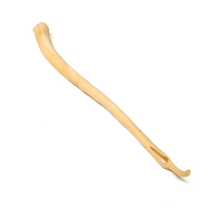 Loja do Cão Cauda de vaca branca XL