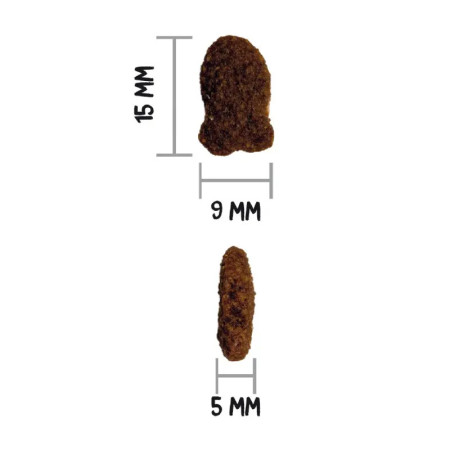 Ownat Classic Cat Fish