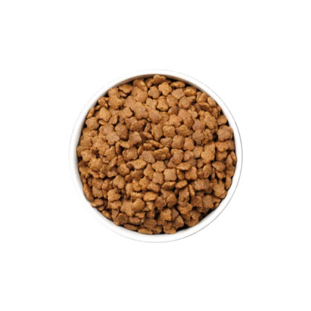 Ownat Ultra Cat Young - Saiba tudo sobre este alimento natural
