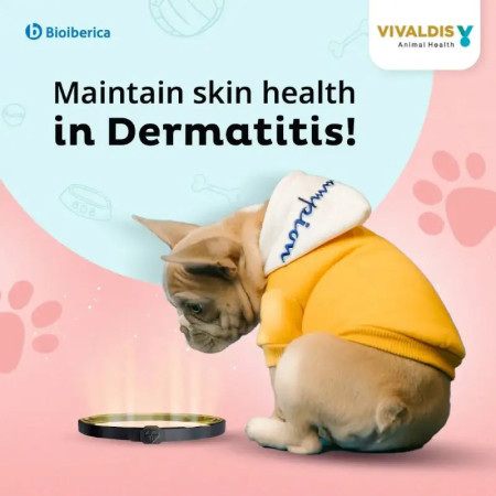 Bioiberica Coleira Atopivet