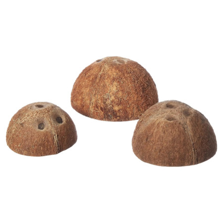 Trixie Casas de casca de coco