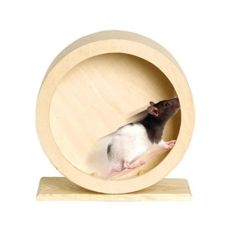 Trixie Roda de exercício de madeira