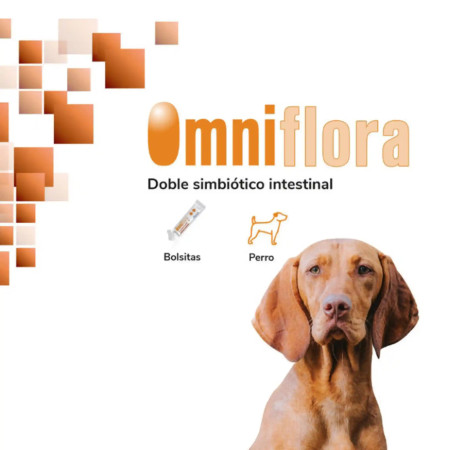 HiFarmaX Omniflora Saquetas de pó - Saiba mais aqui