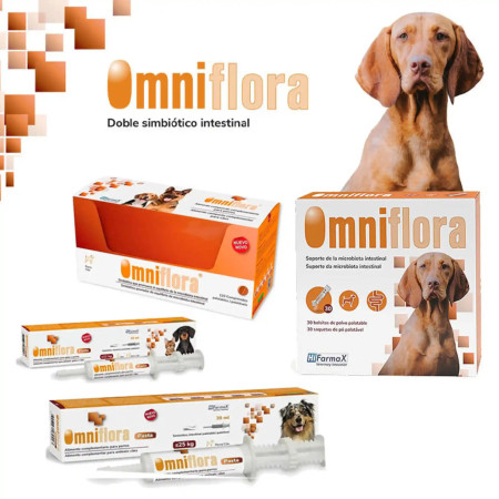 HiFarmaX Omniflora Saquetas de pó - Saiba mais aqui