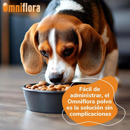 HiFarmaX Omniflora Saquetas de pó - Saiba mais aqui