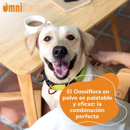 HiFarmaX Omniflora Saquetas de pó - Saiba mais aqui