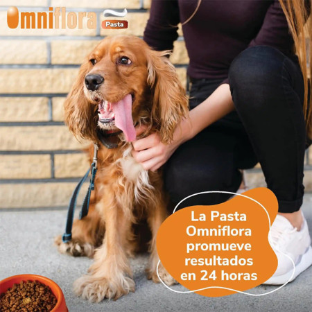 HiFarmaX Omniflora Pasta - Muito eficaz!