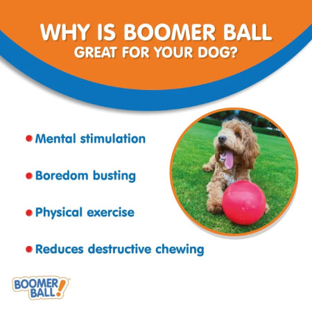 Boomer Ball