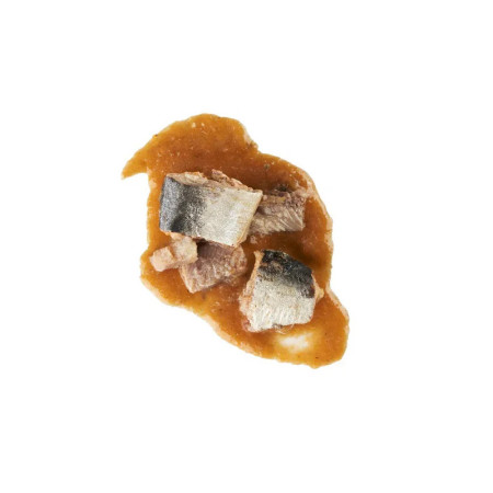 Schesir Gato Filetes de Sardinha em molho