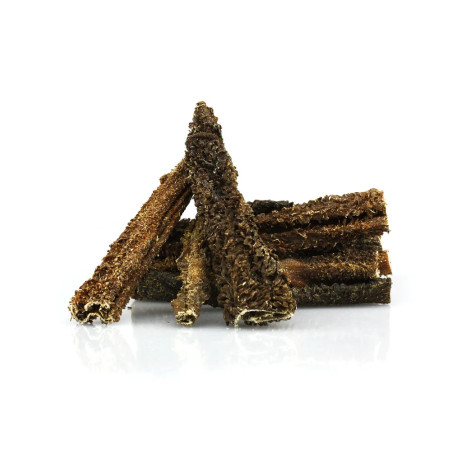 Loja do Cão Tripa de borrego