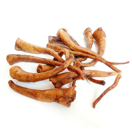 Loja do Cão Caudas de porco