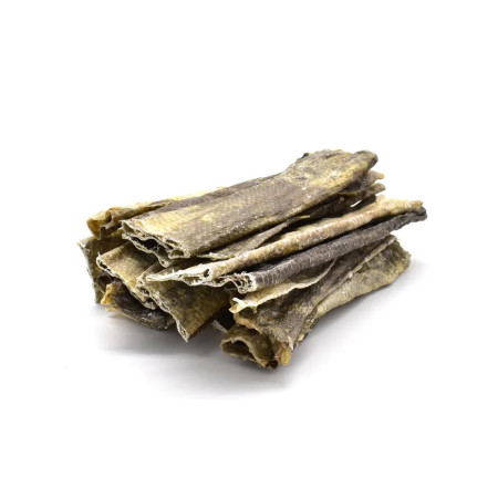 Loja do Cão Tiras de pele de bacalhau