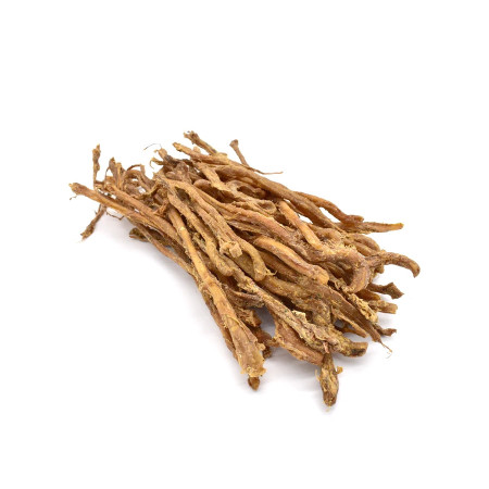 Loja do Cão Nervos de borrego