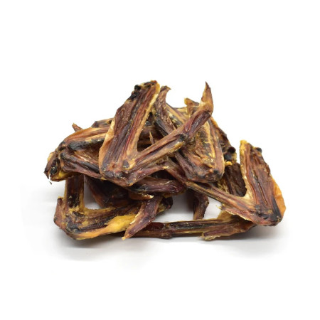 Loja do Cão Asas de pato