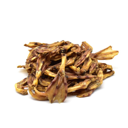 Loja do Cão Patas de pato