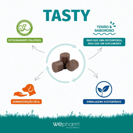 WeJoint Plus Tasty - Uma nova abordagem em snack saboroso!