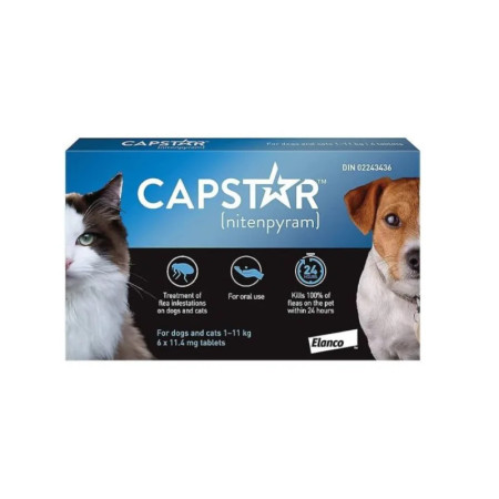 Capstar Comprimidos Anti-Pulgas para cães pequenos e gatos