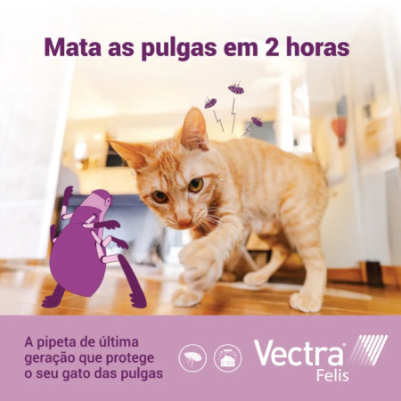 Vectra 3D Pipetas para gatos - O antiparasitário de última geração!